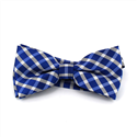 Nœud Papillon à carreaux bleus et blancs
