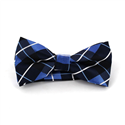 Nœud Papillon à carreaux bleus