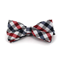 Nœud Papillon à carreaux blancs, bleus et rouges