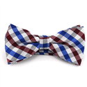 Nœud Papillon à carreaux blancs, bleus et rouges