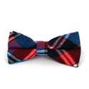 Nœud Papillon à carreaux écossais bleu et rouge
