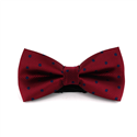 Nœud Papillon Grenat à Pois Bleus