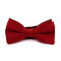 Nœud Papillon en daim rouge uni
