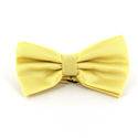 Nœud Papillon Uni Carreaux Jaune Clair