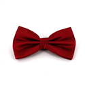 Nœud Papillon uni à carreaux rouge foncé