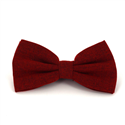 Nœud Papillon uni en orange clair