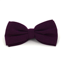 Nœud Papillon uni en chevron violet