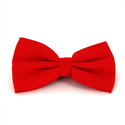 Nœud Papillon uni en chevron rouge