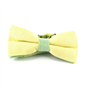 Nœud Papillon uni Oxford jaune et vert