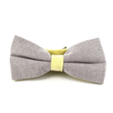 Nœud Papillon uni Oxford Gris et Jaune