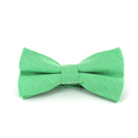 Nœud Papillon uni Oxford Vert