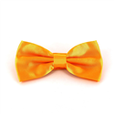 Nœud Papillon en satin ambre uni