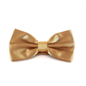 Nœud Papillon en satin champagne uni
