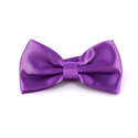 Nœud Papillon en satin violet