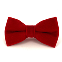 Nœud Papillon en velours rouge uni