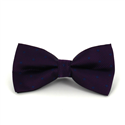 Nœud Papillon violet à pois bleus