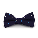 Nœud Papillon violet à pois carrés