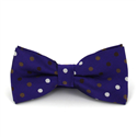 Nœud Papillon violet à pois multicolores