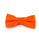 Nœud Papillon Orange à Pois Brillants