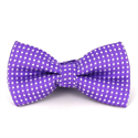 Nœud Papillon Enfant Violet à Pois