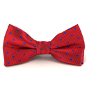 Nœud Papillon Enfant Rouge à Pois