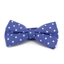 Nœud Papillon Oxford à pois bleu