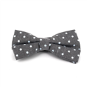 Nœud Papillon à pois gris Oxford