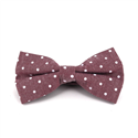 Nœud Papillon Oxford à pois rouge