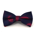 Nœud Papillon Paisley Bleu