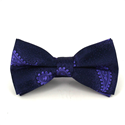Nœud Papillon Paisley Bleu