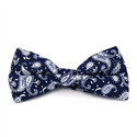 Nœud Papillon Paisley Bleu et Blanc
