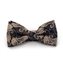 Nœud Papillon Paisley Bleu et Or