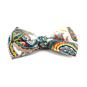 Nœud Papillon Paisley Blanc