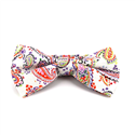 Nœud Papillon Paisley Blanc