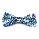 Nœud Papillon Paisley Blanc et Bleu