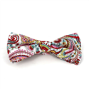 Nœud Papillon Paisley Blanc et Rouge