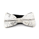Nœud Papillon Paisley Brillant Blanc