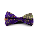 Nœud Papillon Paisley Brillant Violet