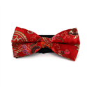 Nœud Papillon Paisley Rouge Brillant