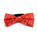 Nœud Papillon Paisley Brillant Rouge