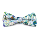 Nœud Papillon Paisley Céleste et Vert