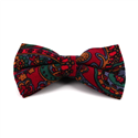 Nœud Papillon Paisley Grenat