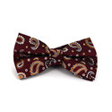 Nœud Papillon Paisley Grenat