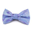 Nœud Papillon Paisley Violet et Céleste