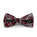 Nœud Papillon Paisley Noir, Grenat et Argent