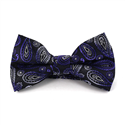 Nœud Papillon Paisley Noir et Violet