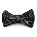 Nœud Papillon Paisley Noir et Argent