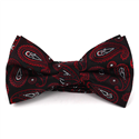 Nœud Papillon Paisley Noir et Rouge