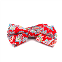 Nœud Papillon Paisley Rouge