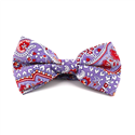 Nœud Papillon Paisley Violet